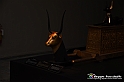 VBS_5188 - Tutankhamon - Viaggio verso l'eternità